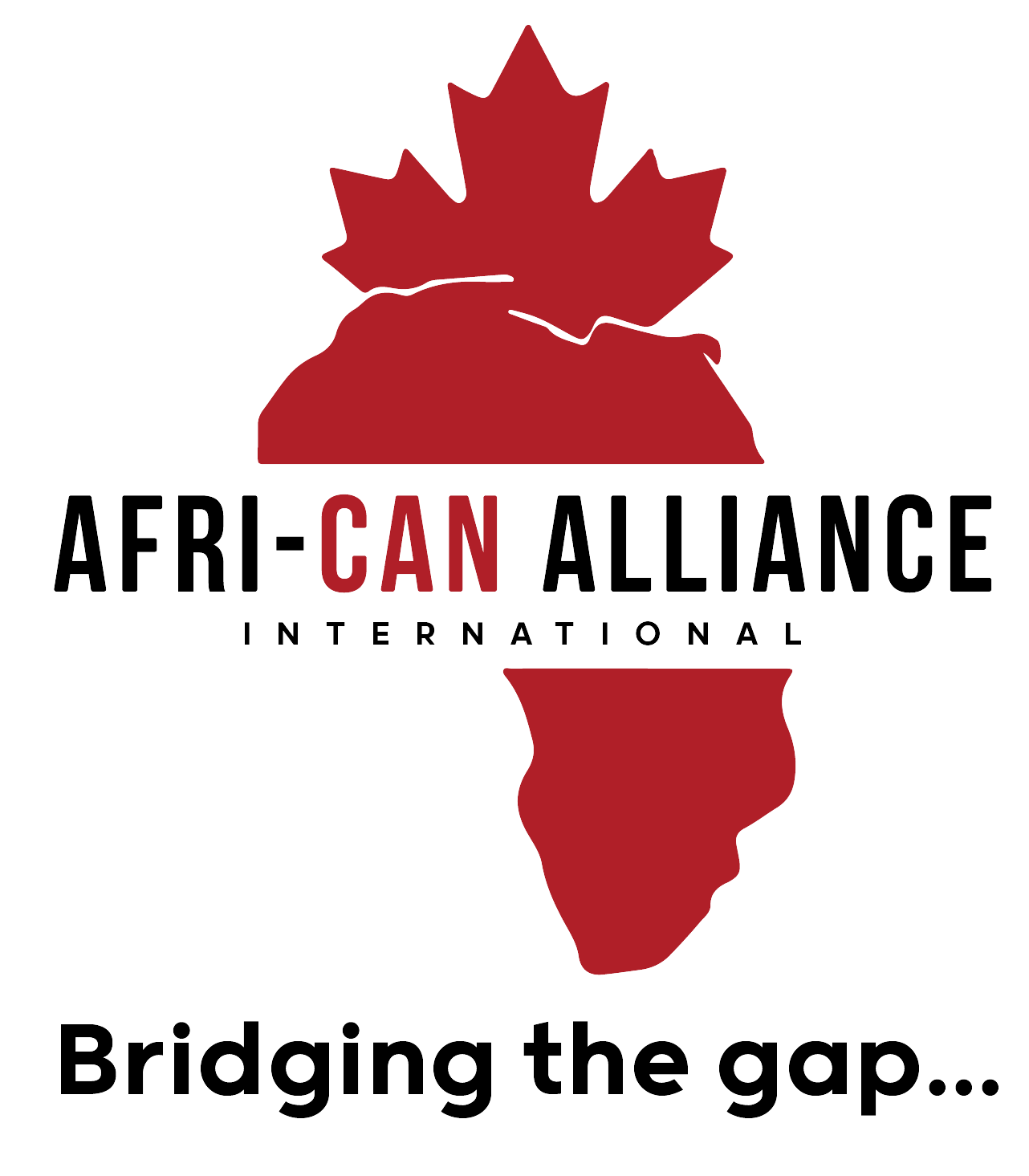 Afri-can Alliance International